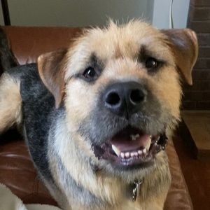 Meet your Posher, Libby